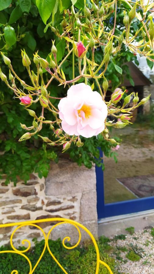 Ker Anahid - L'Atelier Bed & Breakfast Pleslin-Trigavou Luaran gambar